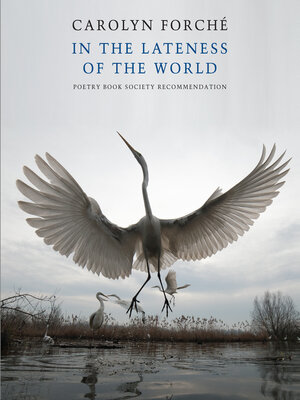cover image of In the Lateness of the World